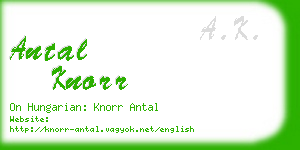 antal knorr business card